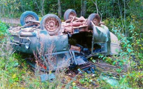 В Лузском районе двое госпитализированы после серьезного ДТП