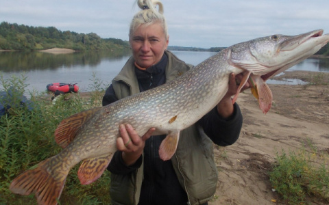 Что обсуждают: огромная щука и подборка цитат Никиты Белых с заседания