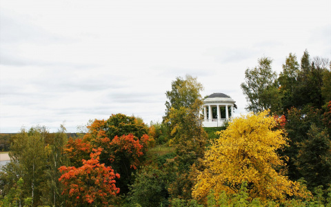 МЧС сообщает о тумане и дождях в Кировской области в воскресенье