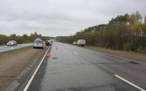 На Южном обходе насмерть сбили пешехода: появилась подробная информация