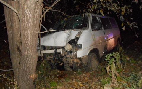 В Кировской области водитель погиб после столкновения с деревом
