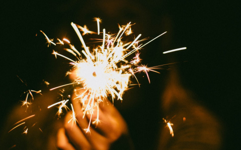 Госдума рассмотрит возможность сокращения новогодних каникул