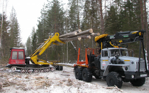 В исправительную колонию в Кировской области покупают лесовоз за 3 миллиона