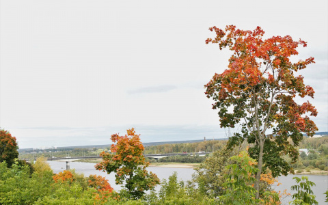 Что обсуждают: прогноз погоды на октябрь и съемки в шоу "Давай поженимся!"