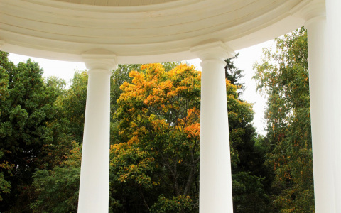 К концу недели синоптики прогнозируют в Кировской области потепление