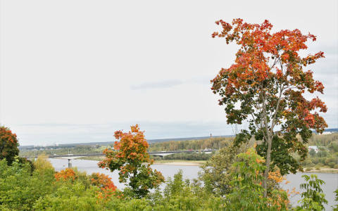 Прогноз погоды: какой будет рабочая неделя в Кирове?