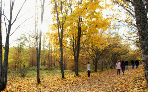 В МЧС рассказали о погоде в Кировской области во вторник