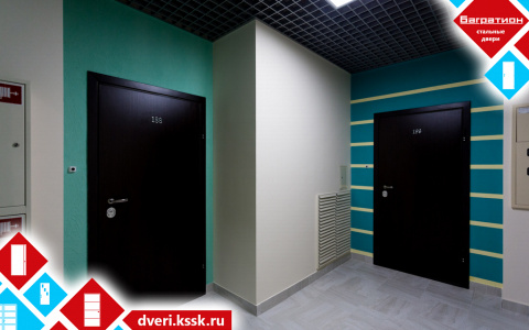 Качественная входная дверь – залог безопасности и тишины