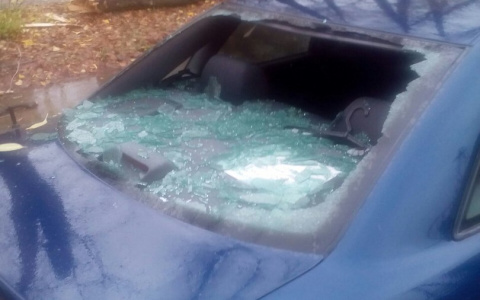 В Кирове упавшее дерево у школы разбило заднее стекло иномарки