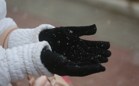 Прогноз погоды: какой будет рабочая неделя в Кирове?