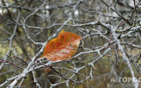 МЧС опубликовало прогноз погоды в Кировской области на вторник