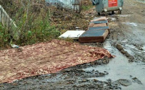 Жители Вересников перебираются через лужи по коврам и диванам