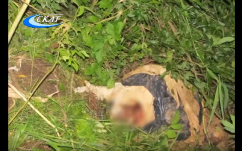 Мертвую женщину, найденную на берегу реки Вятки, не могут опознать третий месяц