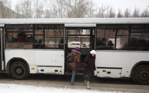 Мэр Кирова предложила изменить мотивацию водителей общественного транспорта