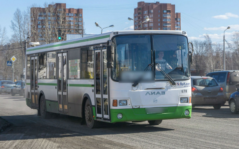 Очевидец: "Водитель 16 автобуса устроил драку с пассажиром"