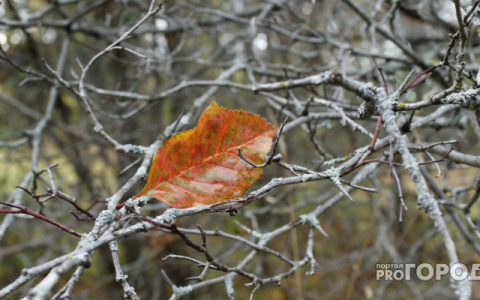 Прогноз от МЧС: какой будет погода в Кировской области в пятницу?