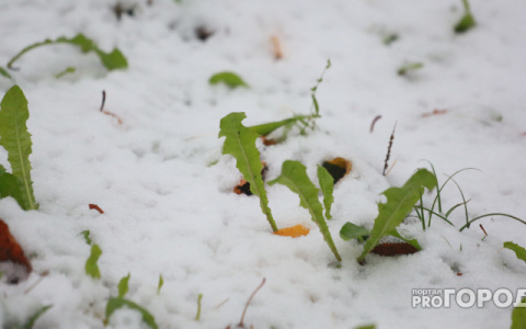 Прогноз погоды: какими будут праздничные выходные в Кирове?