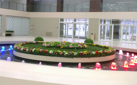 Видео: в кировском гипермаркете установили необычный фонтан