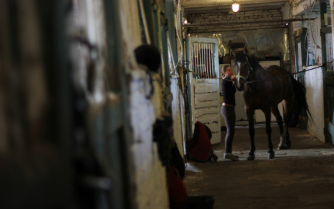 В Кировской области с конного двора украли лошадь