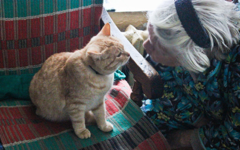 Пенсионерка в Кировской области живет в доме без отопления и окон