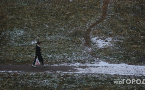 Какой будет погода в Кировской области в последний осенний месяц?