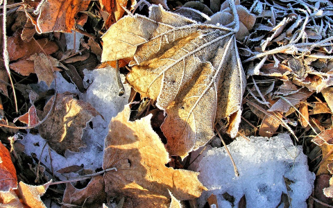 МЧС опубликовало прогноз погоды в Кировской области на четверг