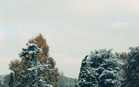Прогноз погоды: какими будут выходные в Кировской области?
