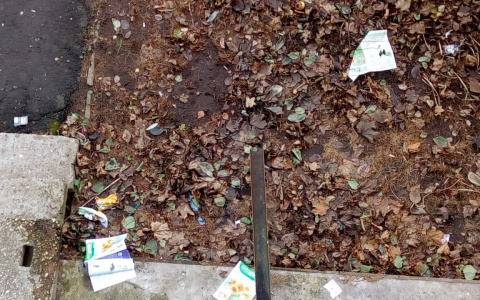 Кировчанин: "Из-за нашей соседки постоянно увольняются дворники"