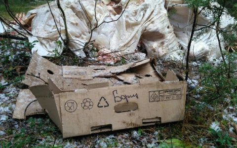 В Кирове активисты ОНФ нашли опасные отходы