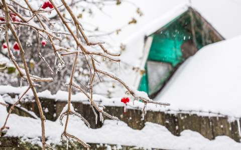 Что обсуждают в Кирове: увеличение транспортного налога и ледяной дождь