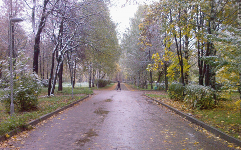 Прогноз погоды в Кирове: в выходные потеплеет