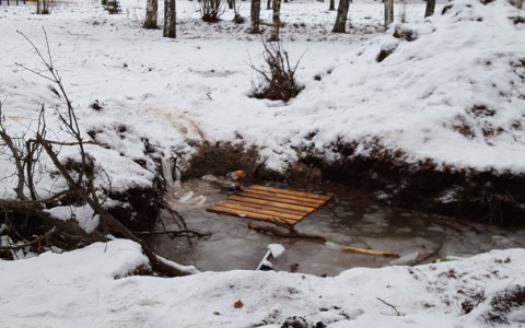 Очевидцы: «В Кочуровском парке ребенок провалился в канаву с водой по плечи»