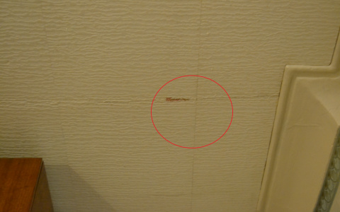 Кировчане: «После смерти соседа сверху на потолке появилось кровавое пятно»