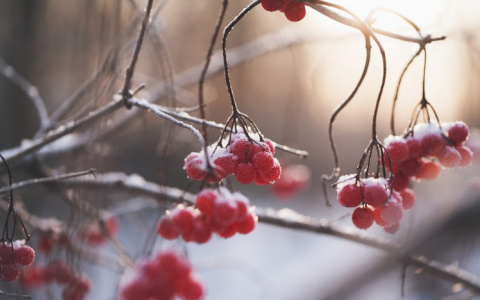 МЧС опубликовало прогноз погоды в Кировской области на вторник