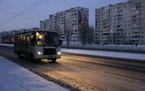 В Кировской области автобус высаживал детей за 3 километра до их дома