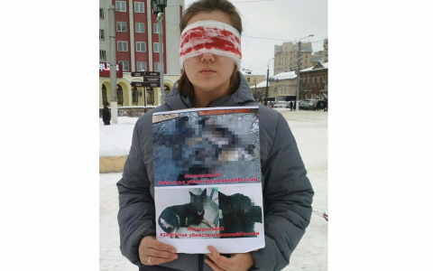 Что обсуждают: юрист из Кирова на "Пусть говорят" и  «кровавый» флешмоб