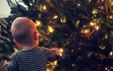 Глава Минтруда рассказал о новых выплатах на первого и второго ребенка