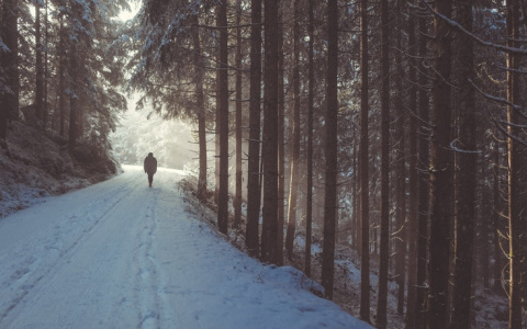 Вторая половина декабря в Кировской области будет аномально теплой