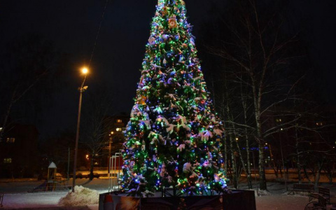 10 фотографий самых красивых новогодних елок Кирова