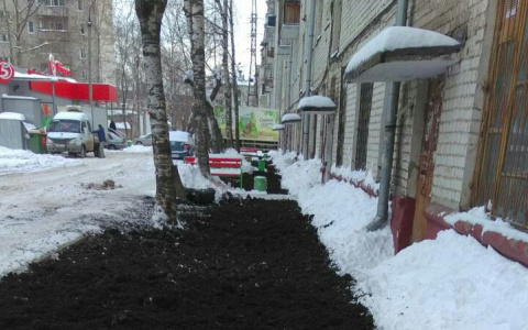 В Кирове во дворе в снег высыпали чернозем, чтобы сделать клумбу