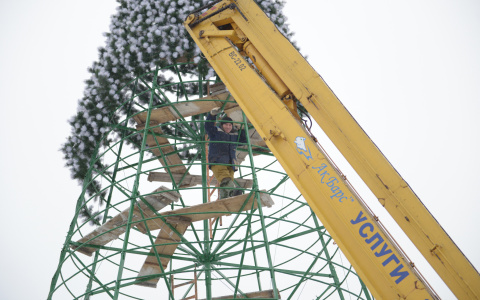 4 самые странные елки в Кировской области