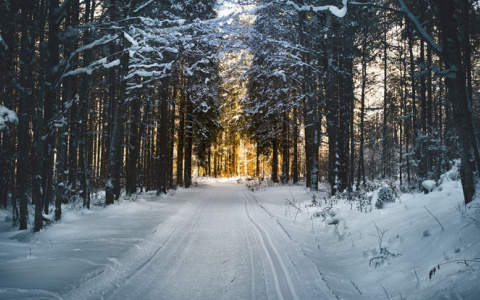 Прогноз от МЧС: какой будет погода в Кировской области в пятницу?