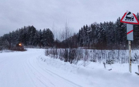 В Лузском районе иномарка столкнулась с локомотивом