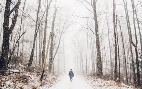 Прогноз погоды от МЧС: каким будет вторник в Кировской области?