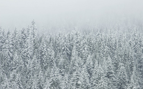 Прогноз погоды от МЧС: какой будет среда в Кировской области?