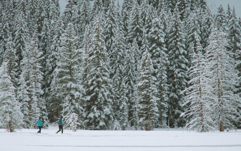 Прогноз погоды от МЧС: каким будет четверг в Кировской области?