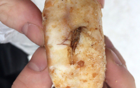 Кировчанин съел пирожное с неприятным "сюрпризом"