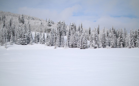 Прогноз погоды: какими будут выходные в Кирове?
