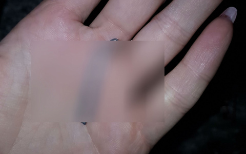 Кировчанке в хлебе попался металлический "сюрприз"