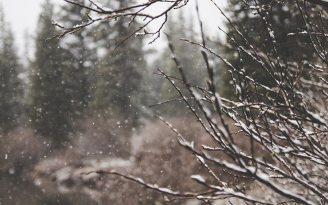 В одном из городов Кировской области солнце в декабре светило всего минуту